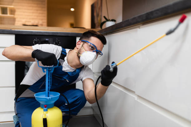 Best Local Pest Control Services  in Bethel, AK