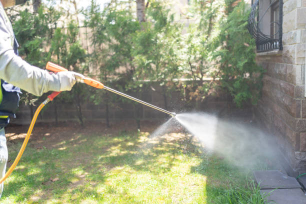 Best Flea Control Services  in Bethel, AK